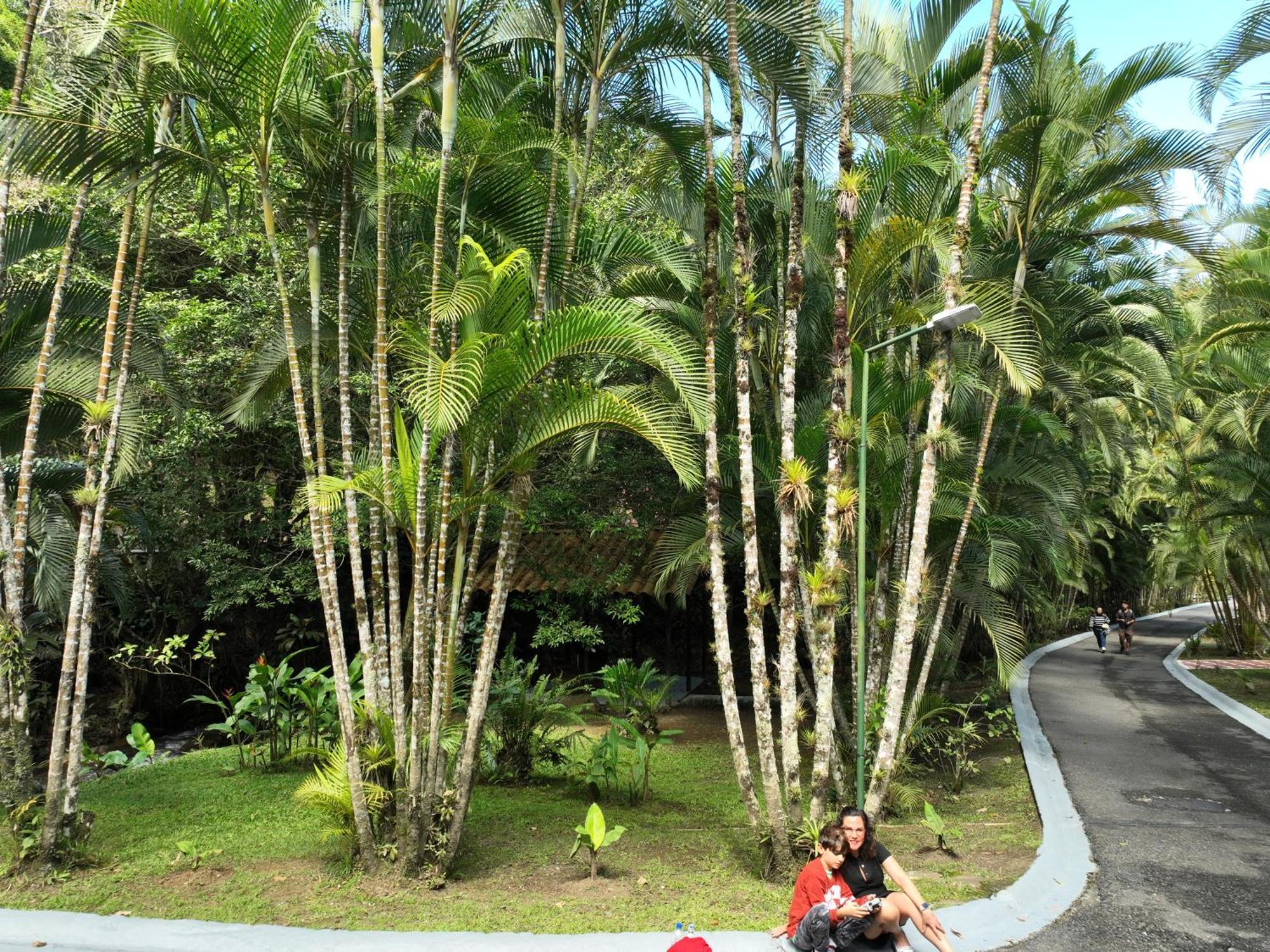 Rio Perlas Thermal Resort & Spa Cartago Exterior foto